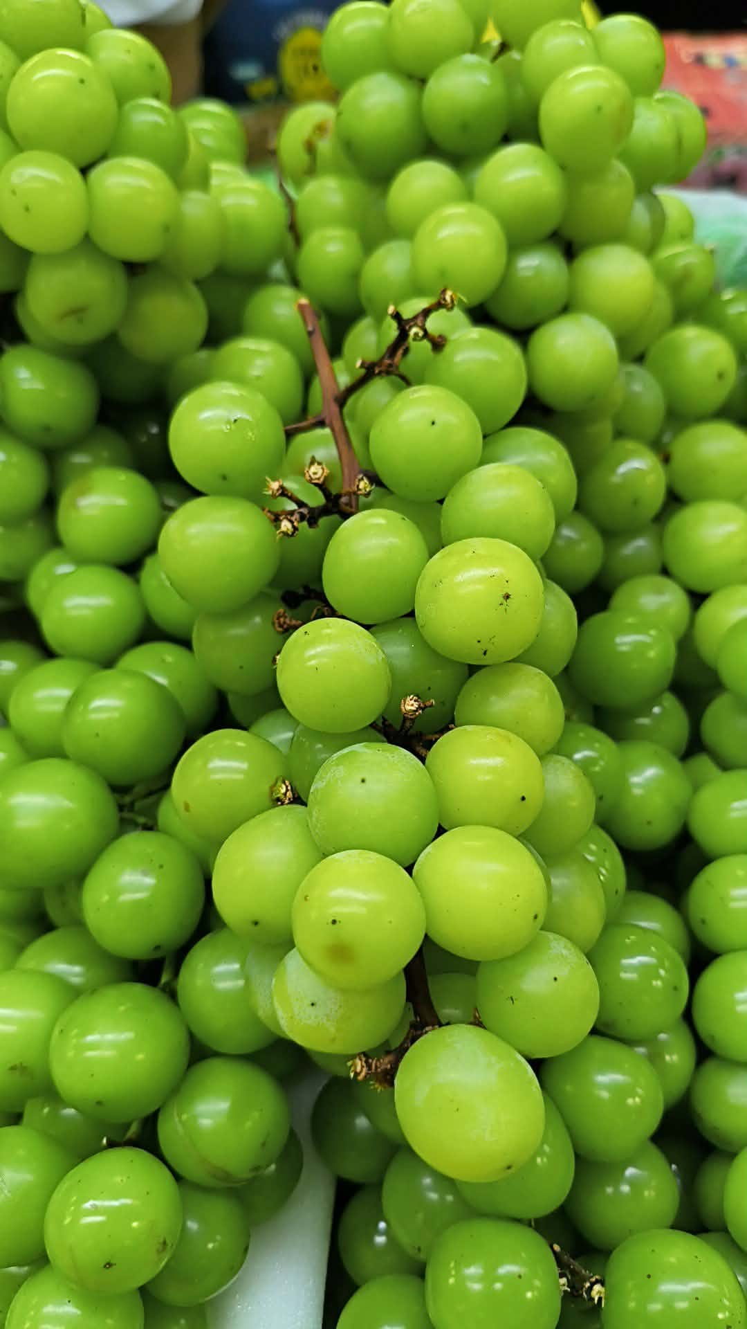Green Grapes / Green Ubas