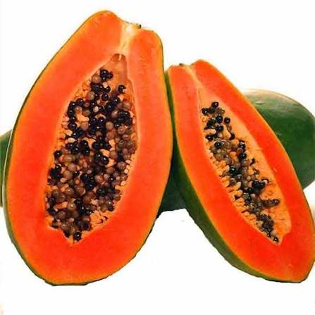 Papaya Red Lady / Pula ng Papaya