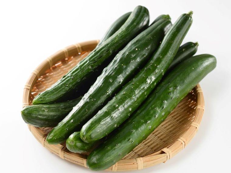 Japanese Cucumber