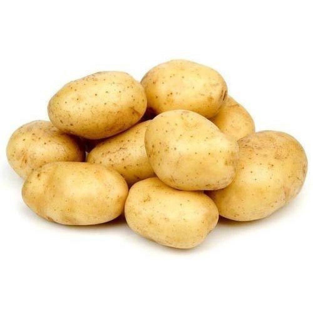 Medium Size Potato