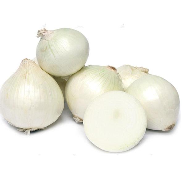 White onion / Puting Sibuyas