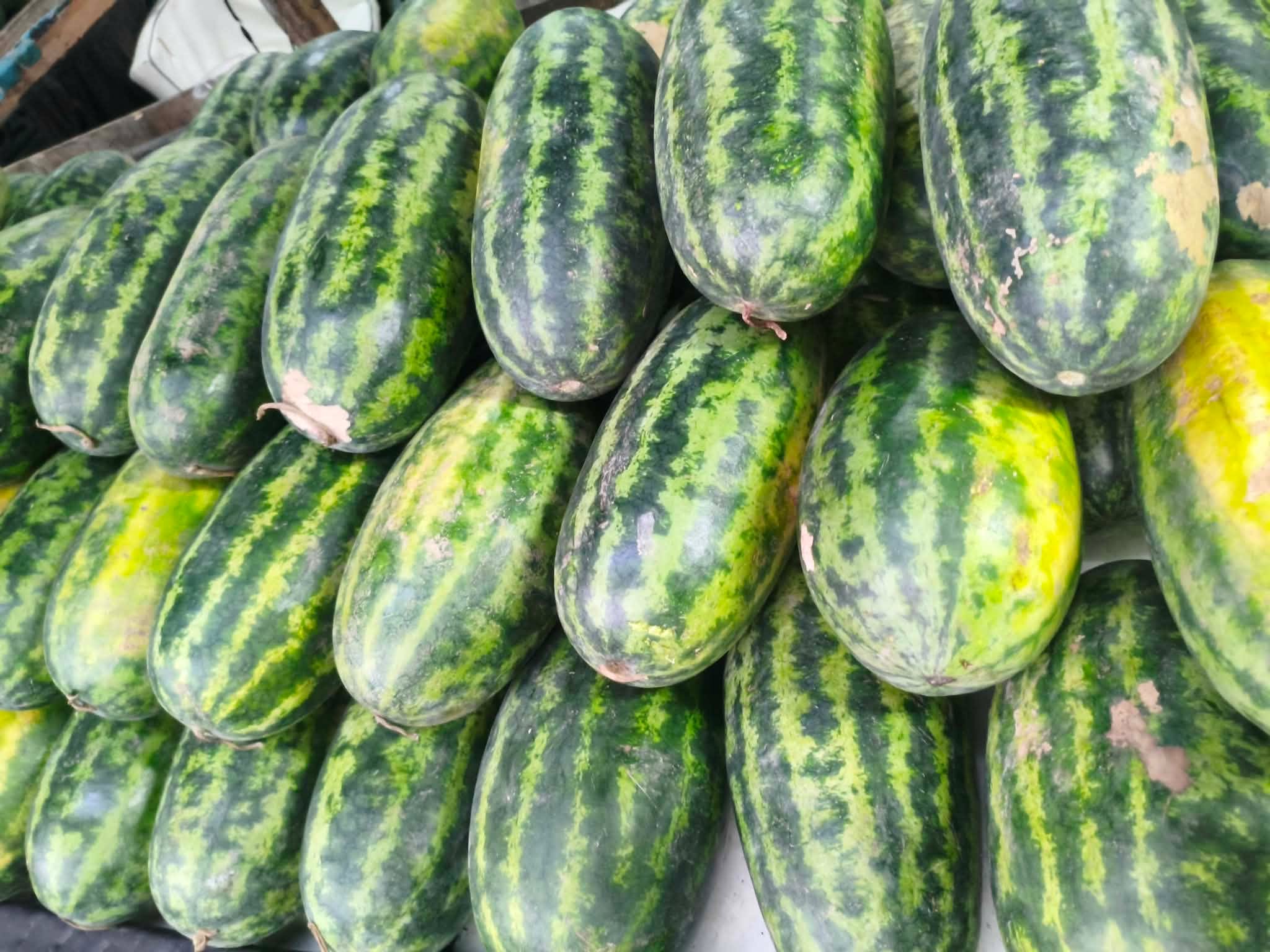 Pakwan Seminis