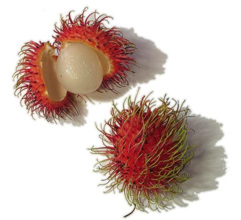 Rambutan