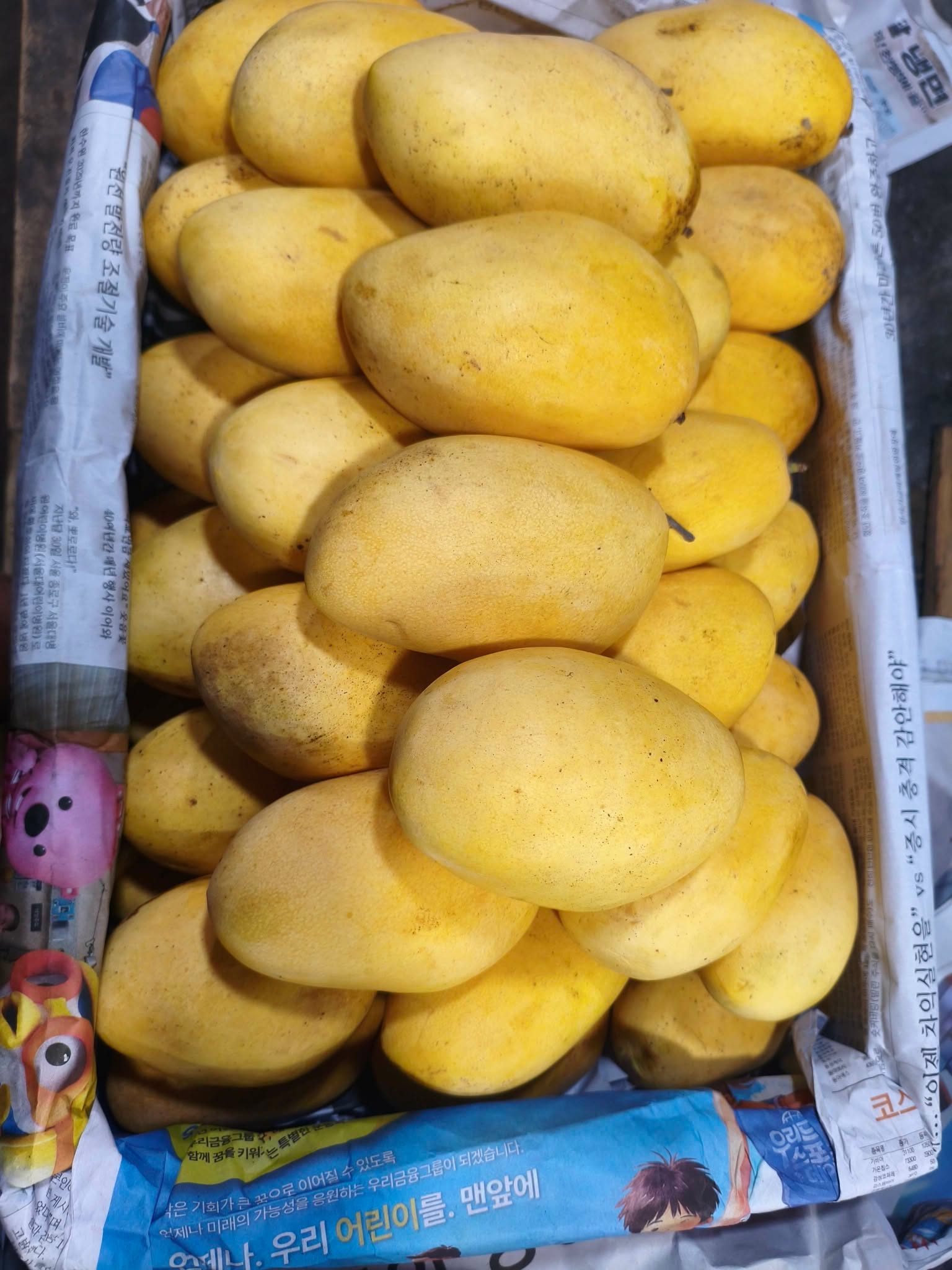 Mango Carabao / Manggang Kalabaw